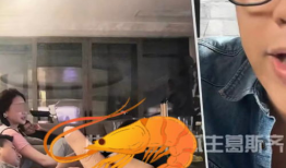 吃瓜直播间爆料时图案,揭秘事件背后惊人真相